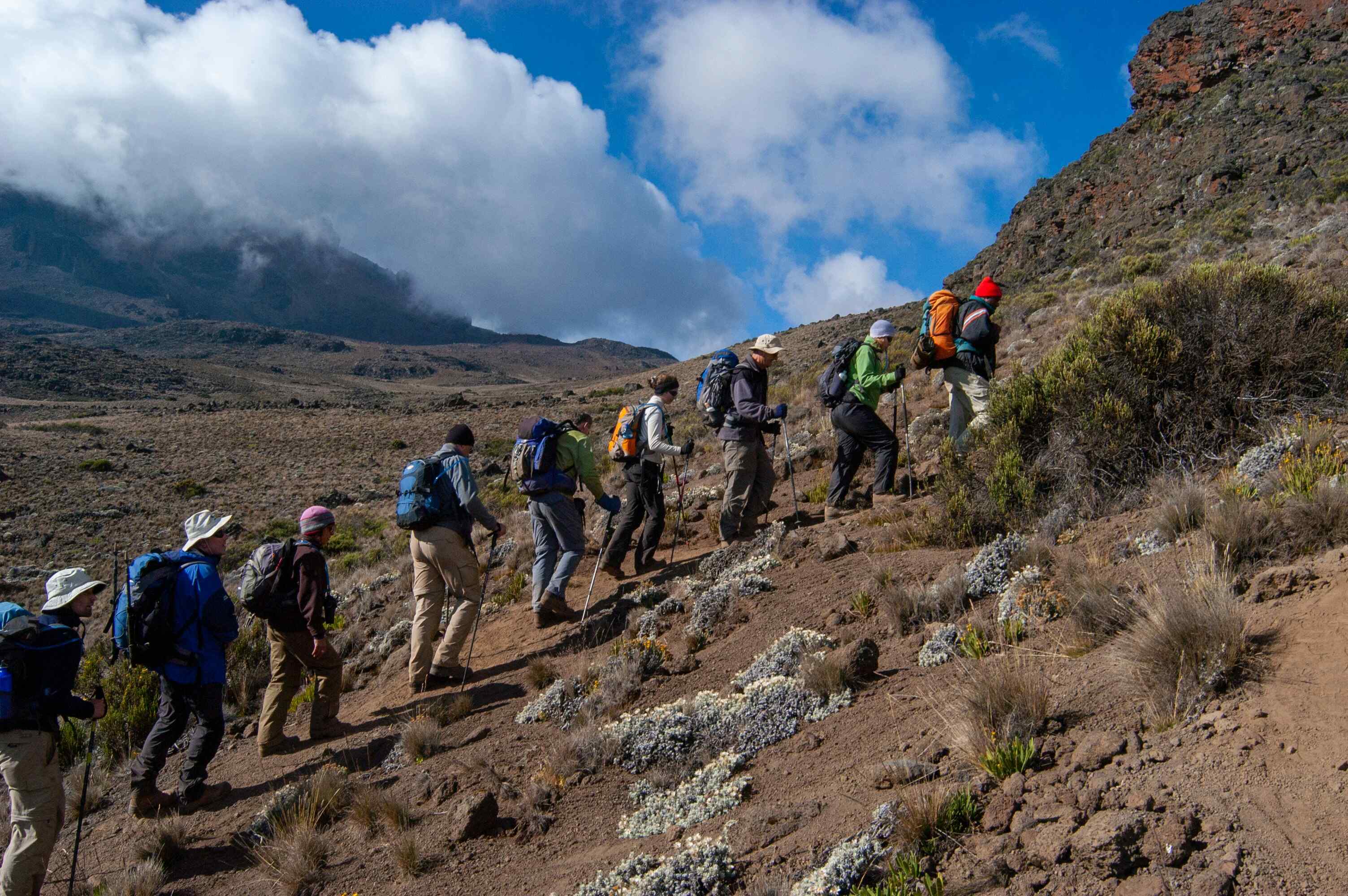 kili_104-img