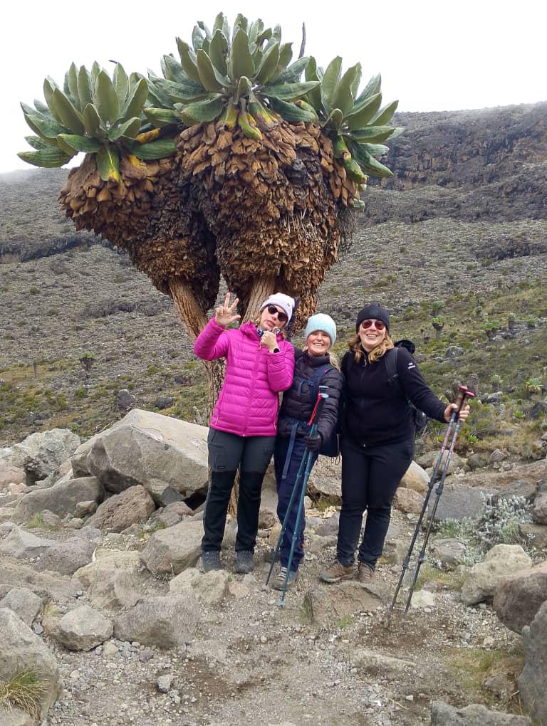 Umbwe Route Kilimanjaro