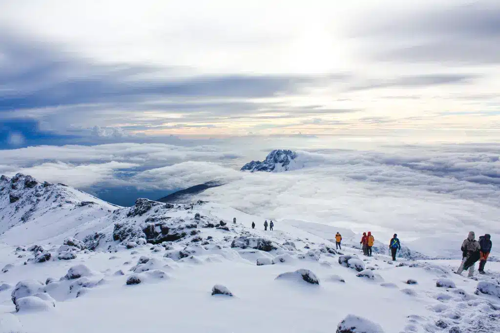 6 Days Lemosho Route Climbing | Best High Success Rate on Kilimanjaro
