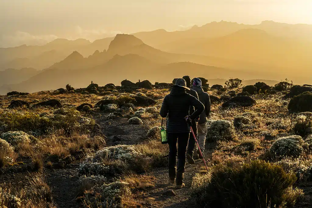 Best Kilimanjaro Hiking Local Tour Operators