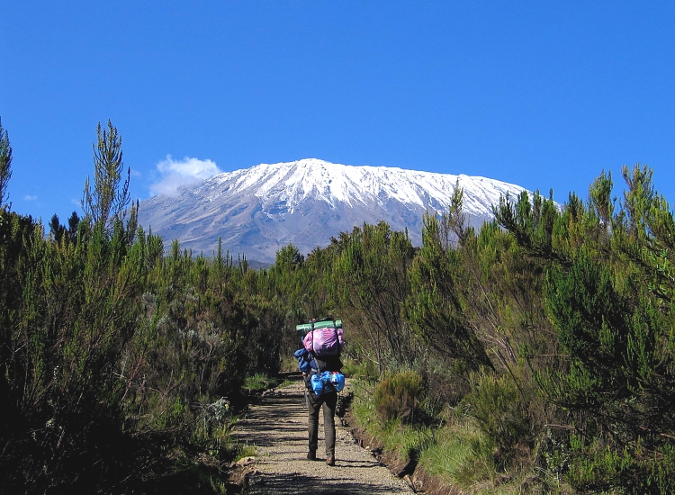 Best Kilimanjaro Hiking Tours from Nairobi via Arusha