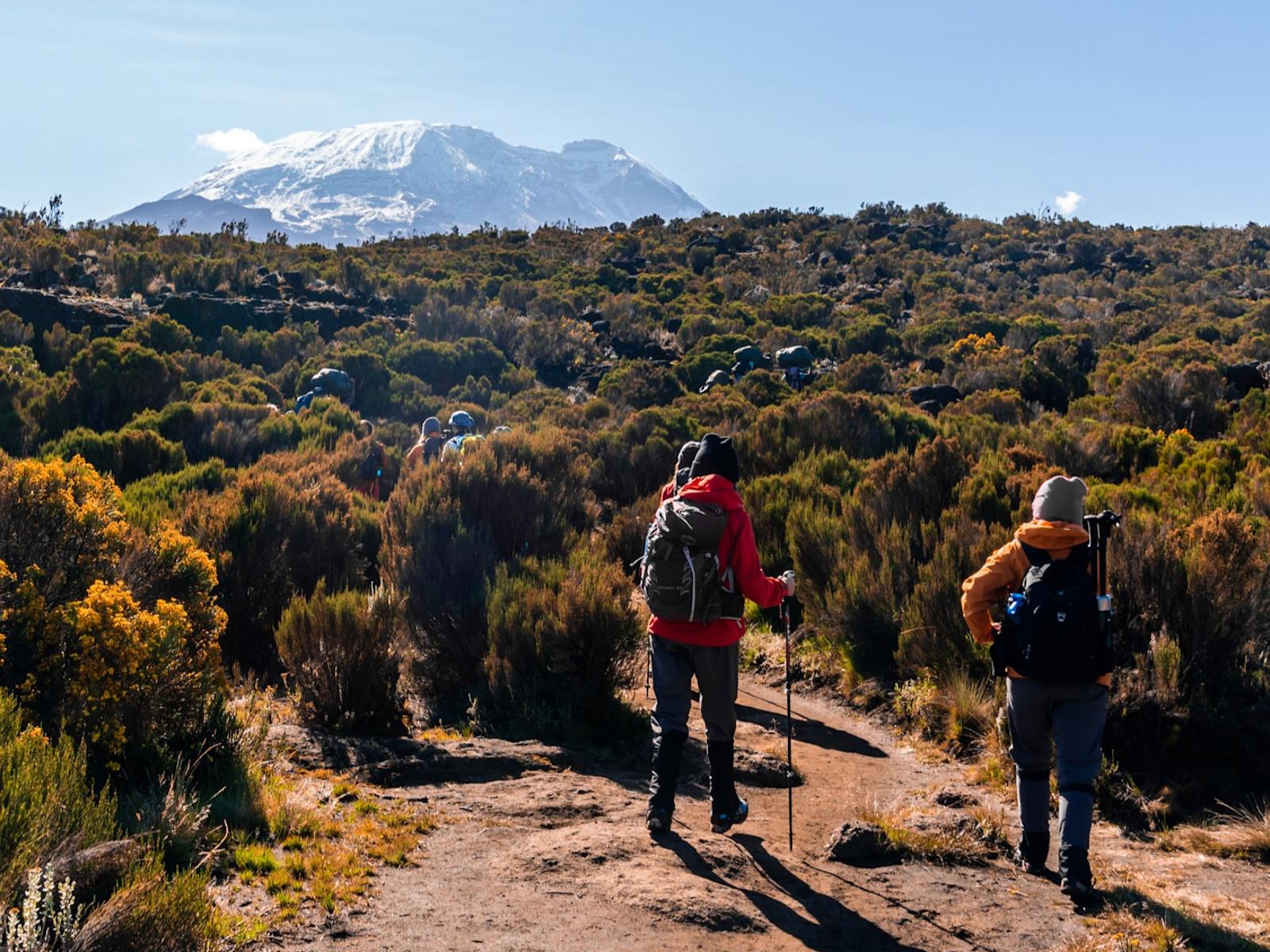 Expert Tips to Climb Kilimanjaro on a Tight Budget