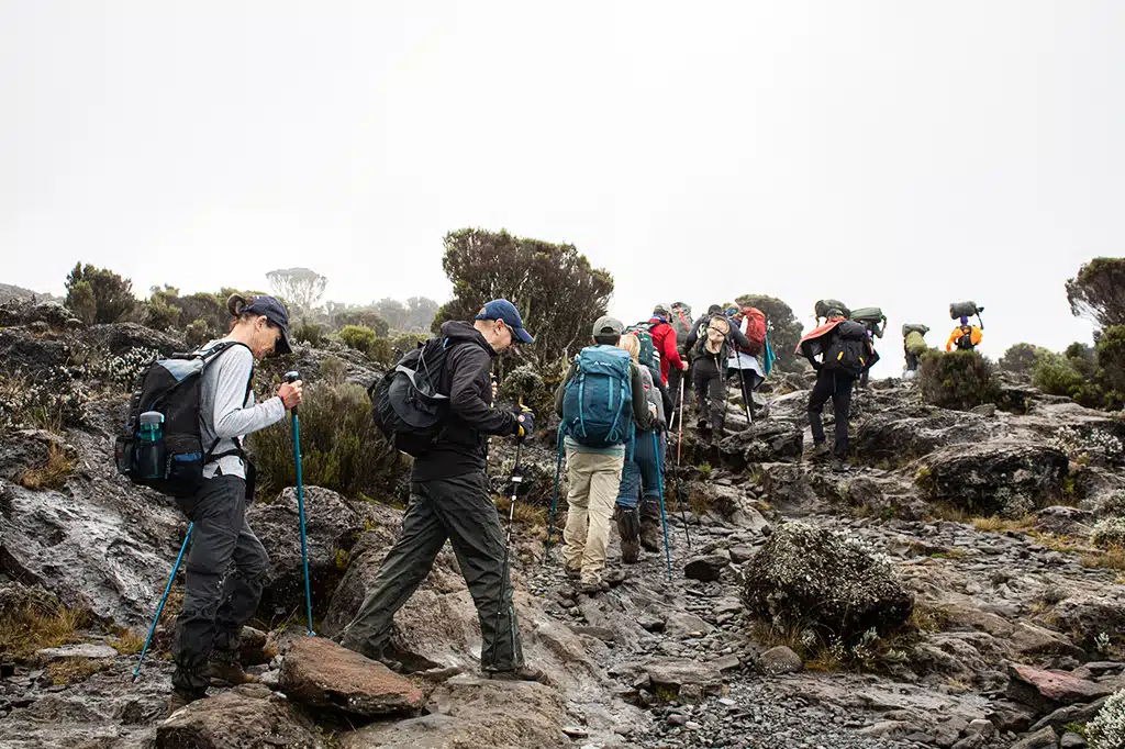 From Base to Summit – Complete Kilimanjaro Climbing Journey Guide 2026