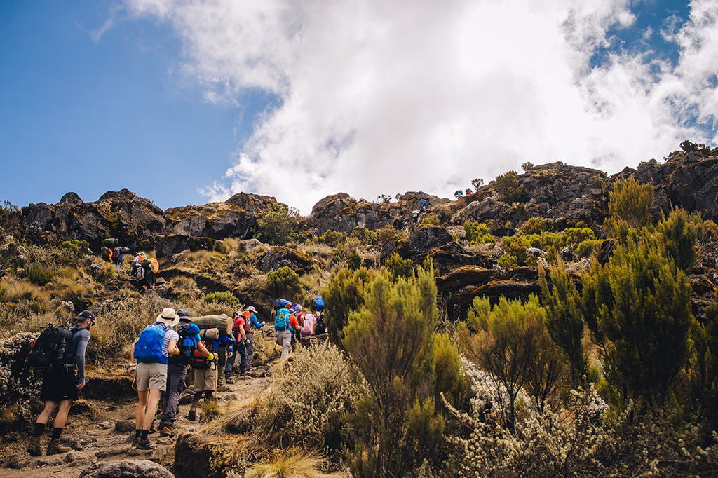 Group Joining Kilimanjaro Climbs 2026 – Affordable Shared Trek Packages