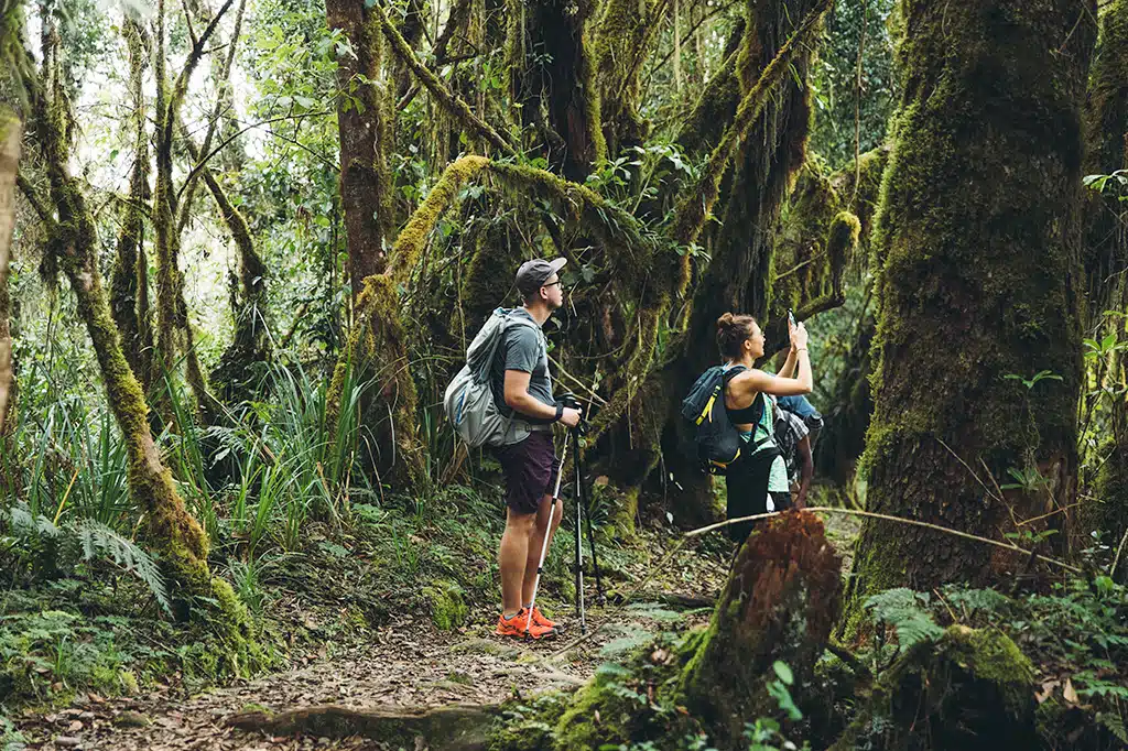 Is Climbing Mount Kilimanjaro During the Rainy Season Worth It?