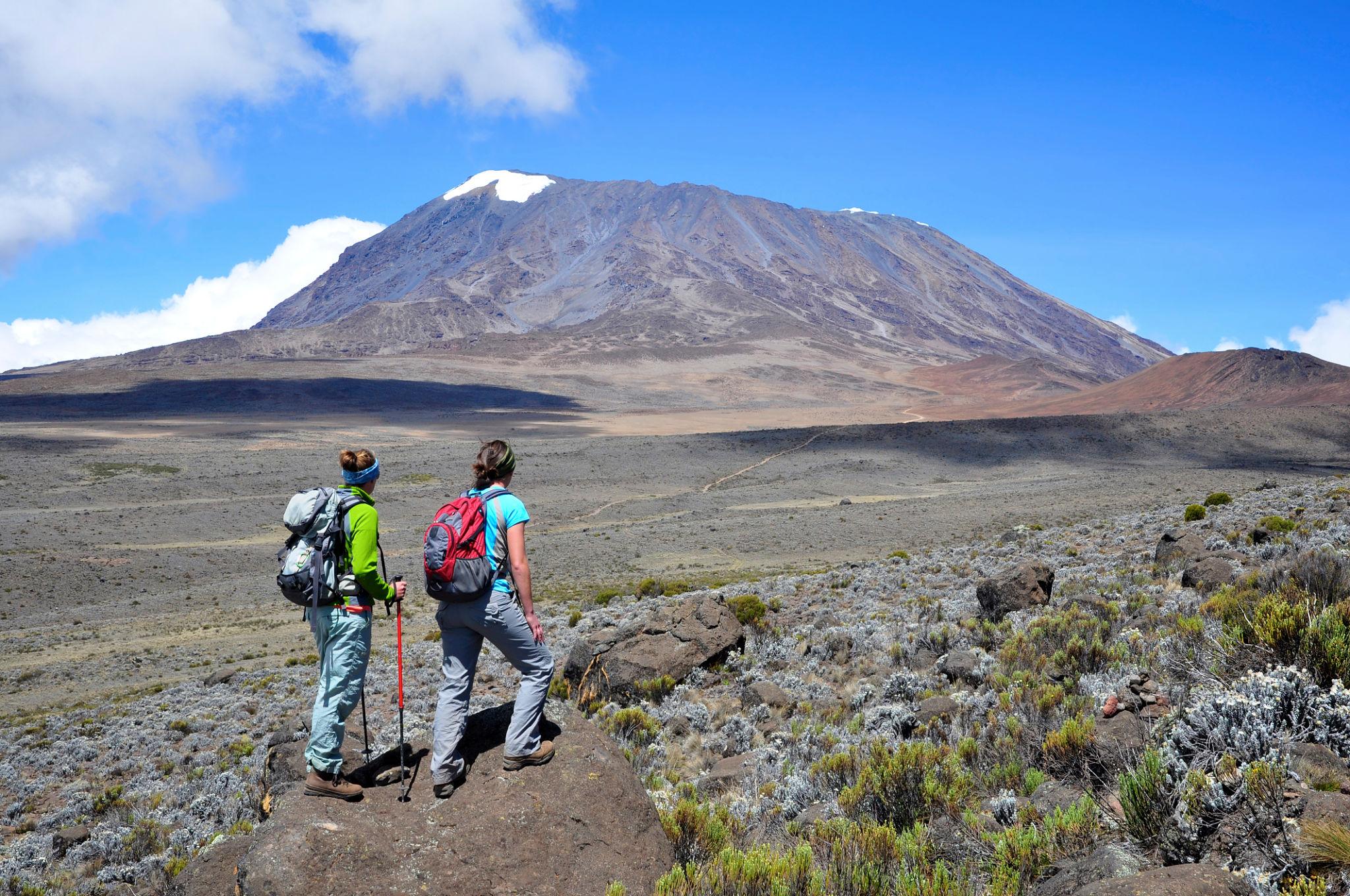 Top Best Operator on Kilimanjaro
